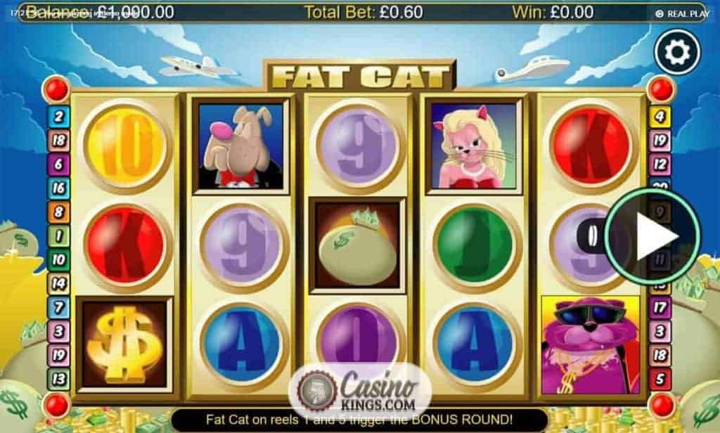 Fat cat casino slots casino